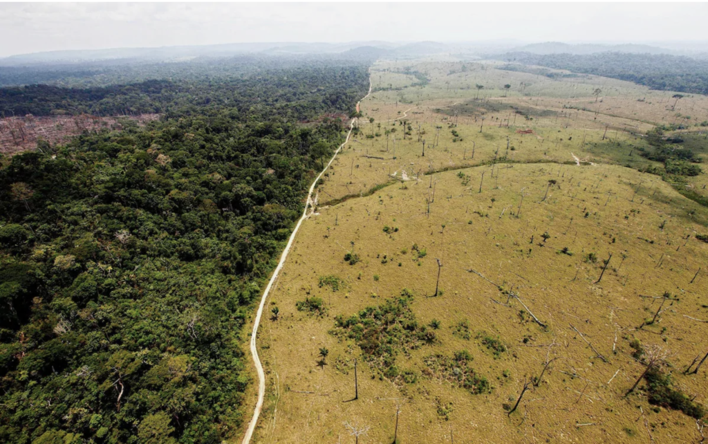 Deforestation Nigeria