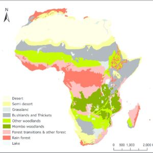 war on charcoal