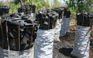 war on charcoal