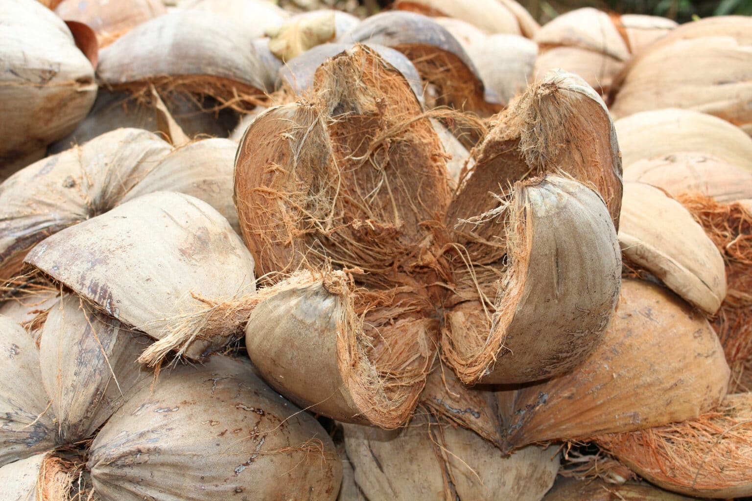 diy椰壳工艺材料种植多肉花盆天然椰子壳碗星空碗宠物窝食盆-阿里巴巴