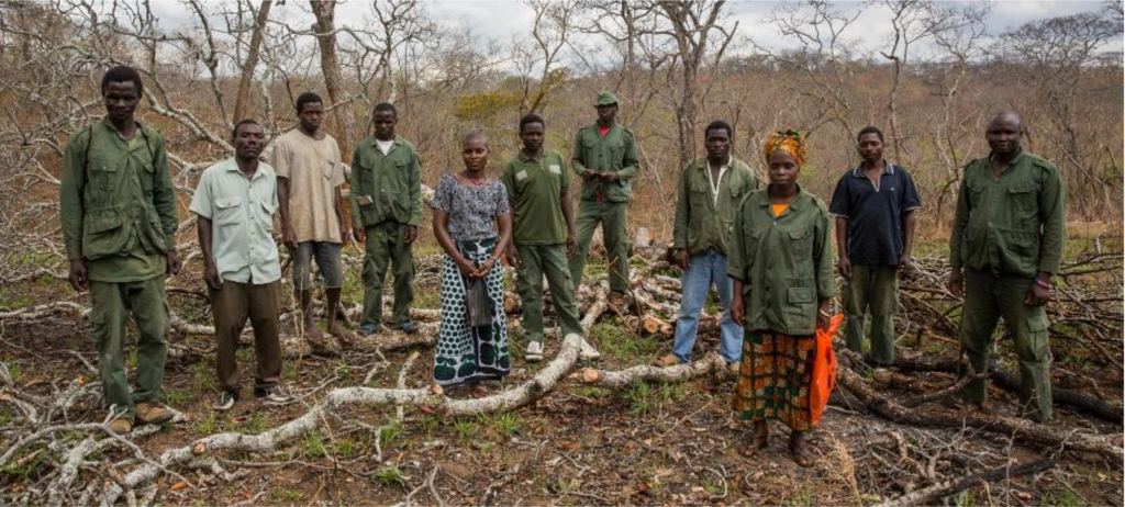 TFCG Charcoal Producers