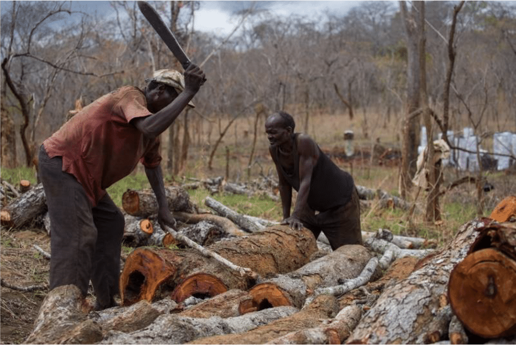 TFCG Charcoal Producers